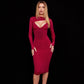 Bandage Mesh Long Sleeve Dress Stepper