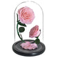 Double Preserved Flower Rose Valentine's Day Gift