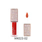 Matte Silky Moisturizing Lip Gloss