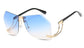 Posh Frame Polarized Sunglasses