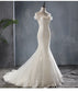 Mermaid light wedding dress lace