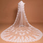 Long Lace Veil