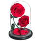 Double Preserved Flower Rose Valentine's Day Gift