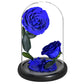 Double Preserved Flower Rose Valentine's Day Gift